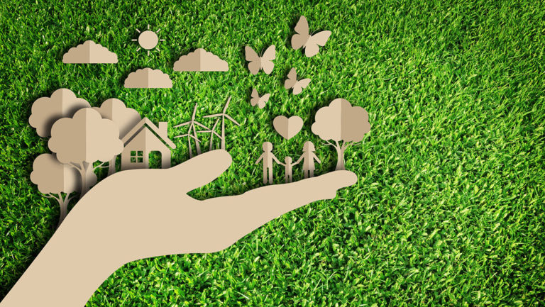 5 vezes em que as cooperativas de crédito ajudaram a cuidar do planeta