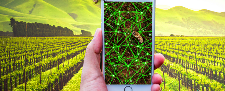 Sistema OCB debate com Embrapa gestão feminina, bioinsumos e agro digital