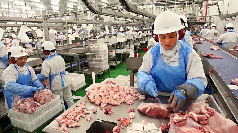 Artigo: O crescimento do cooperativismo e a humanização das relações econômicas