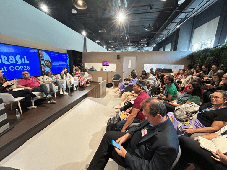 COP 28: cooperativismo atua na manutenção da floresta em pé