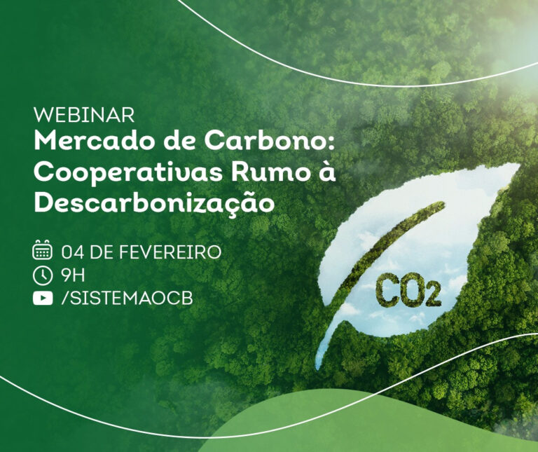 Webinar debate Mercado de Carbono