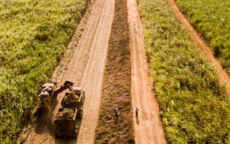 Parceria com Ufrrj amplia referência da Coagro no setor sucroenergético