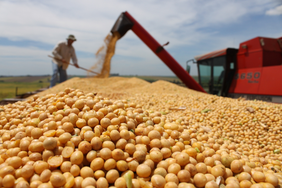 Cooperativas agropecuárias movimentam R$ 487,3 bilhões e ampliam presença no país