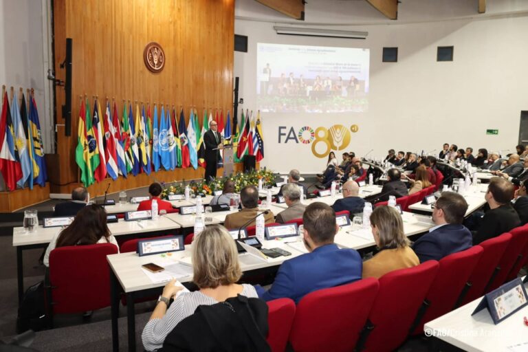 Sistema Ocesp participa de encontro da FAO sobre investimentos em sistemas agroalimentares