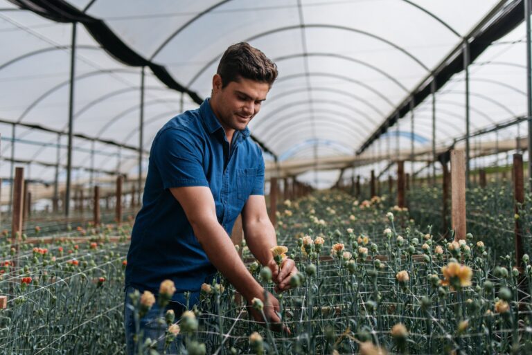 Cooperflora: primavera destaca diversidade no mercado de flores