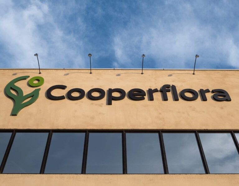 Cooperflora fortalece rede de produtores com novos cooperados